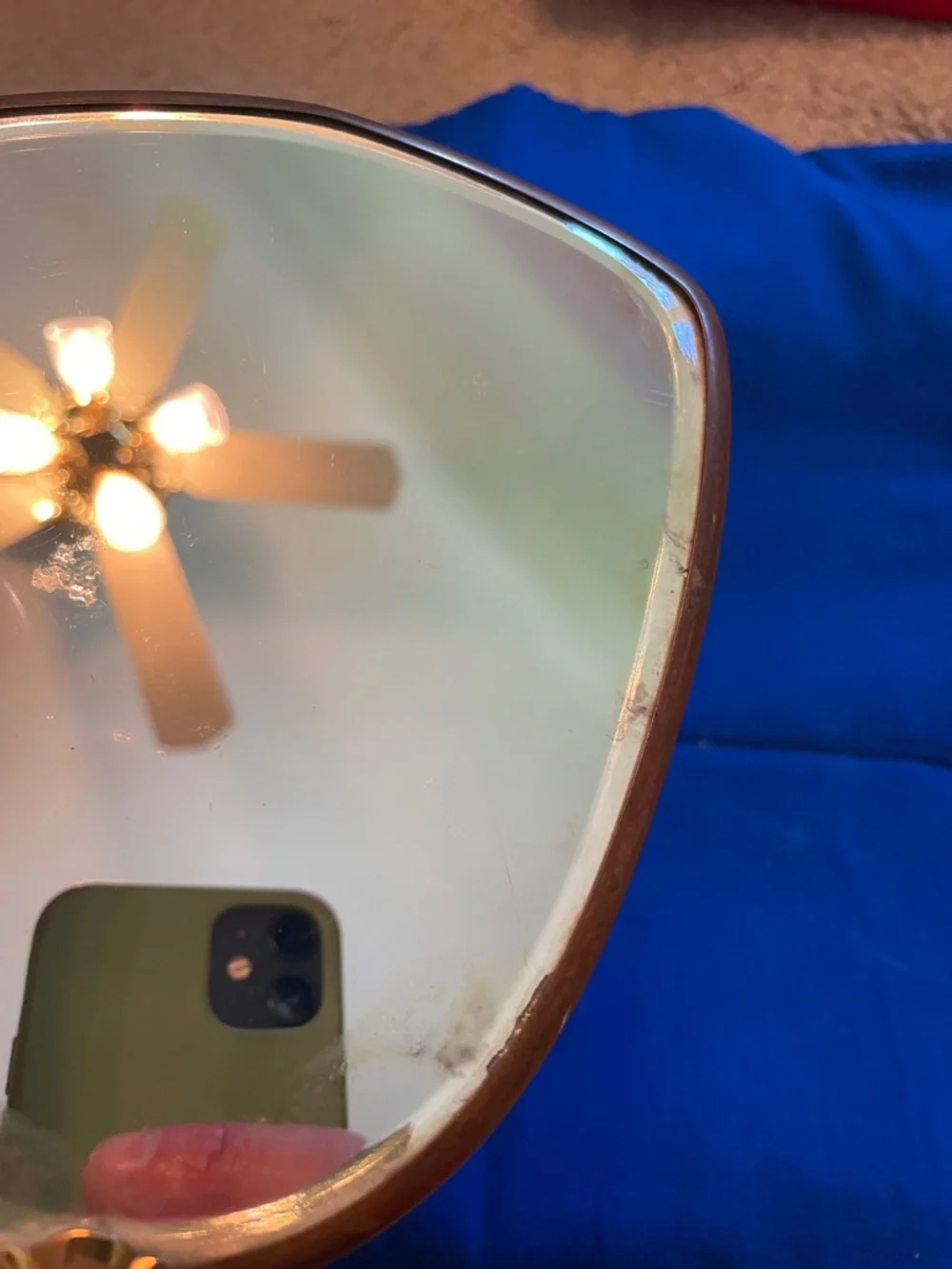 Vintage dried leaves handheld mirror